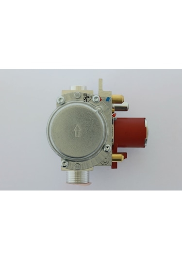 Viessmann Gaz Valfi Ebmpapst Gb-Nd 055 E01 S00