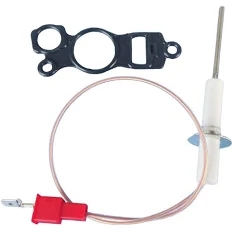 BUDERUS İYONİZASYON ELEKTROTU
